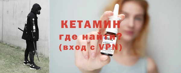 дживик Богородицк