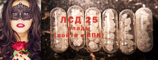 дживик Богородицк