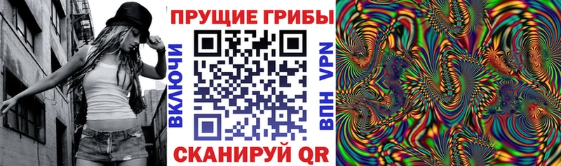 дарнет шоп  Бутурлиновка  Псилоцибиновые грибы MAGIC MUSHROOMS 
